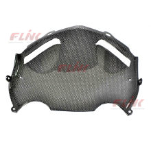 Kawasaki ZX10R 06-07 Carbon Fiber Armaturenbrett